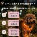 ������ �� ��� ���� ������� ���p ����� ���̎�� �_�炩�� LED ���C�g ���^�� ��^�� ���^�� �� �U�� �L �������� �֘A�摜2