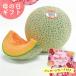 [2026 год День матери ][ отметка 10 раз ] Kumamoto производство k in si- дыня (2 шар )