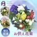 �{�̂��܂����������ԑ� S�T�C�Y ����50cm�`60cm ������ �� ������� ���� �ԑ� ���d ���� ���� ���� ���� ���~ �V�~ ���~ ���ފ� �摜�z�M �N�[���֑Ή� FKAA