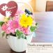 �� �t�����[�A�����W ������� �a���� �I�ׂ� �t�����[�M�t�g Thanks (�T���N�X) �A�����W�@smile(�X�}�C��)�A�����W ���� �A�����W�����g ���� ���� FKAA �֘A�摜2