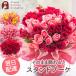 �� �a���� �v���[���g 50�{�o���X�^���h�u�[�P �o���̉ԑ� �M�t�g �ԑ� ���� ���� ������� �t�����[�M�t�g �J�X�j�� �����L�O�� ���� ���w ���� FKAA