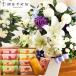 �������ԂƃX�C�[�c �m�Ԃ��g���� �����̂������A�����WM�T�C�Y�{ �y�����D���z�t���[�c�t�B�i���V�F8�Z�b�g  �������� ������ ������ FKAA
