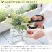 �⌹ �Ԃ͂��� ����΂��� �I�ׂ�J���[ �Ԑ؂�΂��� 170mm Flowerkitchen�I���W�i�� �n���h�N���G�[�V���� F-170 ������ �؂�� �䂤�p�P�b�g���� FKRSL �֘A�摜3
