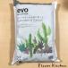 evo- много мясо кактус . изначальный .... земля 2L декоративное растение . комплект покупка бесплатная доставка FKTS
