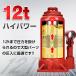 �����v���X 12t �A�^�b�`�����g�t�� 12�g�� ���[�^�[�� ��^ �v���X�@ �x�A�����O �V���t�g ������ ���� ���� �E�� ������ �o�C�N �I�[�g�o�C �S�� �� ��N�ۏ� �֘A�摜3