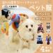 �� �� �R�X�v�� �L ���� ���̕� �y�b�g�� �񑫕��s ���������̕� �ߑ� �n���E�B�� ���� ���^�� ���� �x�@�� ���f�I �g�i�J�C �M�^�[ �y�b�g �N���X�}�X �l�^