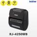 RJ-4250WB ֥饶 4 ٥ 쥷 ǮХץ󥿡 USB̵LANBluetooth³ brother