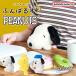 9/10 новинка .....PEANUTS( Snoopy / Woodstock / Olaf ) Peanuts Snoopy кошка . осанка корректирующий Dream z мягкая игрушка осанка улучшение герой симпатичный 