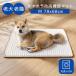 �y�b�g���p�P�A�}�b�g �z�[���i�[�XPET M �i78�~68cm/���^���E���^���j������h�~ ������ �ʋC�� �ې�OK �̈����U ���{�� �b�㐄�� �V�j�A��
