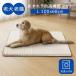 �y�b�g���p�P�A�}�b�g �z�[���i�[�XPET L �i100�~68cm/���^���E��^���j������h�~ ������ �ʋC�� �ې�OK �̈����U ���{�� �b�㐄�� �V�j�A��