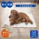 �y�b�g���p�P�A�}�b�g ��p�J�o�[�Z�b�g �z�[���i�[�XPET S �i63�~60cm/�����^���E���^���E�L�j�P�A�}�b�g ������h�~ ������ �ʋC�� �ې�OK ���{��