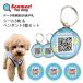 Scamee!for dog наклейка 3 листов & подвеска 3 шт. комплект s Cami - Ford g one Chan поэтому. данные складывание type QR идентификационная бирка / почтовая доставка бесплатный 