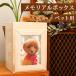  для домашних животных memorial box . покупка 