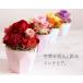 �v���U�[�u�h�t�����[ Cocotte Favori �R�R�b�g�t�@�{�� �ʐ^������� �q�ǂ� �� �� �� ����������� ���΂������ �a���� �v���[���g �� �M�t�g �֘A�摜4