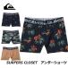 2024 Quiksilver Quick Silver купальный костюм внутренний мужской SURFERS CLOSET нижний шорты Surf внутренний (QUD241025)