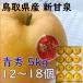  новый . Izumi груша .. синий превосходящий товар 5kg 12~18 шар Tottori префектура производство JA Tottori центр .. красный груша дата указание ok подарок подарок ..... ... соответствует 