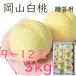  подарок на Bon Festival Okayama белый персик 3kg 9~12 шар максимально высокий и т.п. класс Royal .. для сахар раз сенсор персик Okayama производство . средний изначальный ... . превосходящий товар свет сенсор выбор . подарок ..JA сельское хозяйство ..