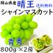  автомобиль in мускат Okayama префектура производство .. синий превосходящий 800g×2 крупный большой .. ... высота сахар раз JA товар сельское хозяйство . подарок подарок . видеть Mai .
