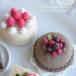Miniature fruit�@�~�j�t���[�c�S��i�ɏ��j�V���R�����[���h �~�j�`���A�p�t���[�c�^ �V���R���^�@UV���W���^�@�S�y�^�@�����S�y �t���[�� floree �֘A�摜2