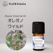 froli - na орегано . масло органический орегано wild 5g l орегано aroma aroma масло . масло эфирное масло аромат натуральный . масло 