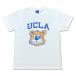  почтовая доставка UCLA TEE белый University of California, Los Angeles колледж T футболка cut and sewn короткий рукав UCAG-099