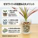 �ϗt�A�� �~�j �n�C�h���J���`���[ ���k�͔| �K���X 3���Z�b�g �A���̎�� �[�I���C�g�̐F �I�ׂ� ������� ������ �I �C���e���A ���� �{�� �֘A�摜5