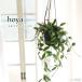  предварительный заказ распродажа декоративное растение Hoya память a4 номер подвешивание горшок подвешивание ниже висячий бесплатная доставка салон интерьер модный grb 3 месяц средний . после отправка 