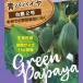  предварительный заказ распродажа папайя рассада синий папайя шт. сельское хозяйство 2 номер 3.5 номер pot зеленый папайя тропический фрукты овощи рассада огород 4 месяц последняя декада после отправка 