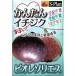 �������� �c �r�I���\���G�X 12cm�|�b�g �C�`�W�N ���ԉ� ��n �c�� �ʎ��c smz