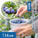 �\��̔� �I�ׂ� ���t���u���[�x���[�c �m�[�U���n�C�u�b�V���n 4���� 2�N���ȏ�c �ʎ��c �c ��� �c�� �ʎ� ymm 5�����{�ȍ~����
