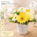 �t�����[�A�����W�����g ���F �a���� ���j�� ���\�� �މ@�j�� �J�X�j�� �� �M�t�g ���� �v���[���g