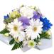 . цветок живые цветы цветок ..... цветок . цветок ... цветок доставка домой домашнее животное ... аранжировка Petit раунд белый &amp; фиолетовый серия 