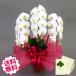 ������ �Ӓ��� �M�t�g ��� �� 3�{�� 30�֑O��i�Q�܂ށj ���j�� �J�X �J�� �J�@ �V�z �ړ] ���z �a���� �A�C �ސE �җ�j�� �������