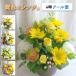 �y���܂����A�����W�����g�z�y���F�I�����W�z�y M�T�C�Y�z�y�N�[���ցz�t�����[�A�����W�����g ���܂������� �ŒZ�������͂� �������� �h�V�̓��ɂ�