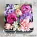 �h�V�̓� �� ����̃o�� �C�u�s�A�b�`�F �t���O�����X �{�b�N�X  �A�����W�����g S  �a���� �L�O��