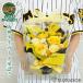 �h�V�̓� ��_�^�C�K�[�X �O�b�Y �v���U�[�u�h�t�����[ �A�����W�r ��_�t�@�� �� �a���� �ސE
