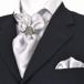  necktie ascot tie ring pocket square set HUGO VALENTINOhyu-go Valentino asc-21 silver peiz Lee pattern 