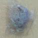 FTD PolarIce�@�|�[���[�A�C�X�@�p�[�}�[�V�F�j�[�� �֘A�摜2