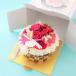�t�����[�P�[�L ���� �a���� �� �M�t�g �A�����W�����g �a���� �v���[���g  �J�X�����L�O�� ���j�� �t�����[ �������� �ސE ���� �֘A�摜4