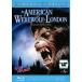 [ б/у ]. мужчина american [ прокат ] [Blu-ray] [ Blue-ray ]