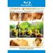 [ б/у ] LION лев 25 год глаз. только ..[ прокат ] [Blu-ray] [ Blue-ray ]