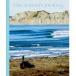  The * серфер z* journal * Japan 16.2 серфинг журнал Surf -тактный - Lee . прекрасный фотография немедленно 