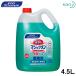 �ԉ� �}�W�b�N�������ۃv���X 4.5�k