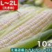  corn white bead L~2L×10ps.@ Hokkaido production .. millet delivery day designation un- possible invalid 2024 year 8 month last third rom and rear (before and after) about .. order sequence . shipping 