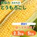 [ есть перевод / ограниченное количество ] Yamanashi префектура производство .. было использовано кукуруза 2.3kg / 5kg.. вдоволь .. тест .