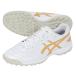  Asics DS LIGHT CLUB TF для взрослых футбол тренировочная обувь asics 1103A112-105