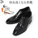 �V�[�N���b�g�V���[�Y 6cm �g���A�b�v�V���[�Y �����Y ��N �ސE �v�C �r�W�l�X�V���[�Y �{�v �w�������Ȃ�C 3E ���H�� �}�h���X ��������