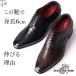 ���{�� 6cm �q�[���A�b�v�V���[�Y �w�������Ȃ�C �����Y �}�h���X �r�W�l�X�V���[�Y �V�[�N���b�g�V���[�Y �v�C ���H�� �v���[���g�D �V�Y�C �t�H�[�}��