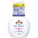 キレイキレイ　薬用泡ハンドソープ　ポンプ　250ml(配送区分:A2)
