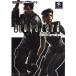  Vaio риск совершенно .. гид (CAPCOM безупречный .. серии 14)